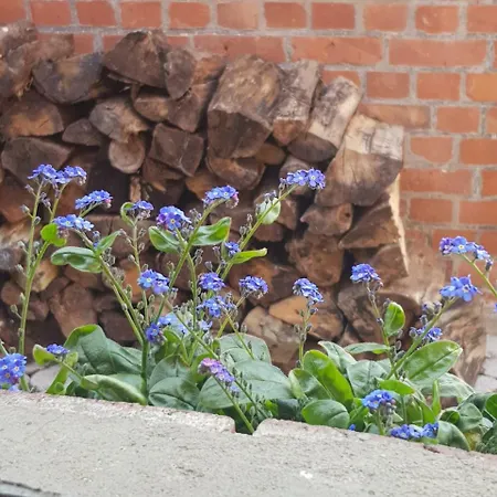 Apartmán Voern-diek Hohnstorf