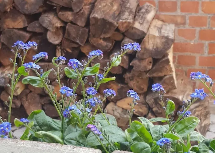 Appartamento Voern-diek Hohnstorf